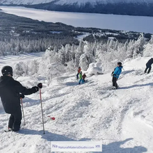 Load image into Gallery viewer, Selected Premium Hand-Straightened Dia.1.6–1.8 cm Length 125cm-145cm Tonkin Bamboo for DIY Ski Poles &Outdoor Gear Hiking/walking sticks-NaturalMateriaStudio-NaturalMateriaStudio