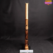 Carica l'immagine nel visualizzatore di Gallery, Selected Spotted Madake Bamboo Poles (L29.5"-39.4"/75-100cm) ID 1.6-2.5cm with Root Ball for Shakuhachi flute Making-NaturalMateriaStudio-NaturalMateriaStudio