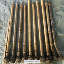 Carica l'immagine nel visualizzatore di Gallery, Selected Spotted Madake Bamboo Poles (L29.5"-39.4"/75-100cm) ID 1.6-2.5cm with Root Ball for Shakuhachi flute Making-NaturalMateriaStudio-NaturalMateriaStudio