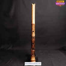 Cargar imagen en el visor de la galería, Selected Spotted Madake Bamboo Poles (L29.5"-39.4"/75-100cm) ID 1.6-2.5cm with Root Ball for Shakuhachi flute Making-NaturalMateriaStudio-NaturalMateriaStudio