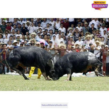 Carica l'immagine nel visualizzatore di Gallery, Vaired size 5x20cm Water Black Bufallo horn Scales for making bow/knife handles ring/eyeglass frame-NaturalMateriaStudio-NaturalMateriaStudio