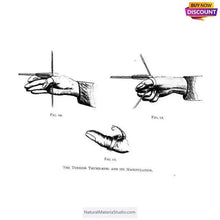 Load image into Gallery viewer, Varied Dia.1.8-2.3cm Natural Camel bone ring for making jewelry ring or pipe accessories-NaturalMateriaStudio-NaturalMateriaStudio