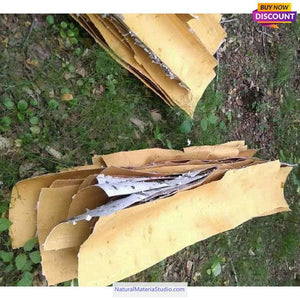 11.8"X15.7"(30X40cm) Birch bark sheets card/package/decoration DIY