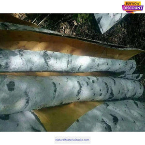 11.8"X15.7"(30X40cm) Birch bark sheets card/package/decoration DIY