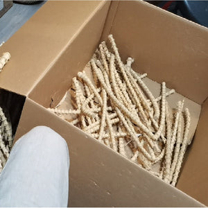 Racines de bambou premium sélectionnées avec nœuds denses pour fabricants de pipes - Vente en gros