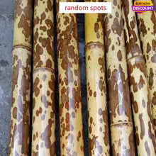 Cargar imagen en el visor de la galería, Dia.4-5cm L35-40cm no joints spotted bamboo culm for bamboo fan layer and Customized
