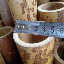 Load image into Gallery viewer, Dia.4-5cm L35-40cm no joints spotted bamboo culm for bamboo fan layer and Customized
