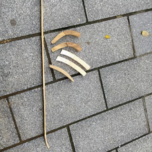 이미지를 갤러리 뷰어에 로드 , Supply 4 Vaired Style Traditional Smoked Bamboo Horn Bow Core Semi-Finished Kit
