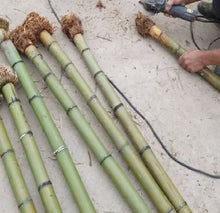 画像をギャラリービューアに読み込む, 選ばれたプレミアム真竹竹竿（29.5インチ〜39.4インチ／75〜100cm）根球付き、尺八、蕭、フルート製作用
