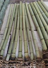 画像をギャラリービューアに読み込む, 選ばれたプレミアム真竹竹竿（29.5インチ〜39.4インチ／75〜100cm）根球付き、尺八、蕭、フルート製作用
