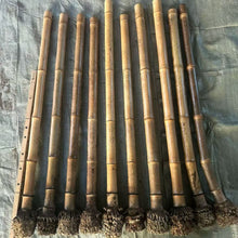 Ladda upp bild till gallerivisning, Utvalda fläckiga Madake bambustavar (L29,5&quot;-39,4&quot;/75-100 cm) ID 1,6-2,5 cm med rotklump för tillverkning av shakuhachiflöjt
