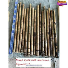 Cargar imagen en el visor de la galería, Selected Spotted Madake Bamboo Poles (L29.5"-39.4"/75-100cm) ID 1.6-2.5cm with Root Ball for Shakuhachi flute Making-NaturalMateriaStudio-NaturalMateriaStudio
