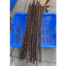 Load image into Gallery viewer, New &amp; Rare Black Bamboo Root Sticks Length 80cm(31.5&quot;)Dia.0.9-1.3cm(0.35&quot;-0.5&quot;) Unique Supply
