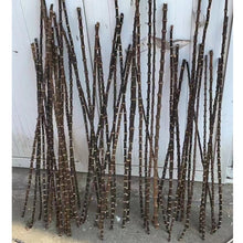 Carica l&#39;immagine nel visualizzatore di Gallery, New &amp; Rare Black Bamboo Root Sticks Length 80cm(31.5&quot;)Dia.0.9-1.3cm(0.35&quot;-0.5&quot;) Unique Supply
