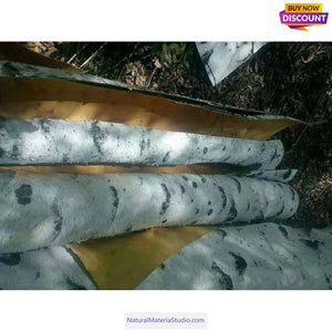 Birch Bark Sheets (11.8"X15.7" and 11.8"X19.6") for Crafting and Home Decor