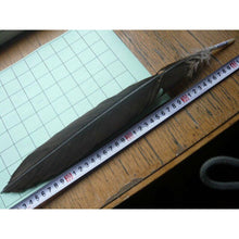 画像をギャラリービューアに読み込む, Black (turkey)30-35 cm R/L Primary Feathers for Arrow Fletching

