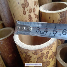 Load image into Gallery viewer, Dia.4-5cm L35-40cm no joints spotted bamboo culm for bamboo fan layer and Customized
