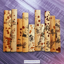 Load image into Gallery viewer, Dia.4-5cm L35-40cm no joints spotted bamboo culm for bamboo fan layer and Customized
