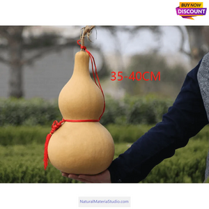 Double Bulbous Large Bottle Gourds 11.8"-19.7"(30-50CM) High dry & clean Wholesale amounts
