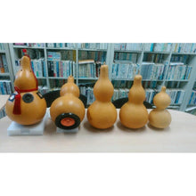 Carica l&#39;immagine nel visualizzatore di Gallery, Double Bulbous Large Bottle Gourds 11.8&quot;-19.7&quot;(30-50CM) High dry &amp; clean Wholesale amounts
