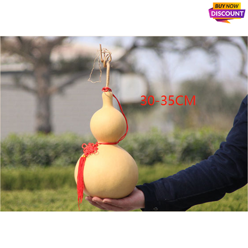 Double Bulbous Large Bottle Gourds 11.8