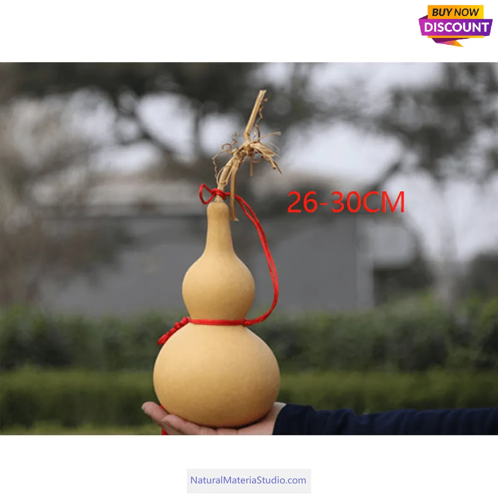 Double Bulbous Medium Bottle Gourds 5.9