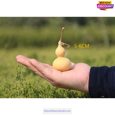 Double Bulbous Small Bottle Gourds 1.97-2.56 inch/5.0-6.5cm mixed High dry & clean