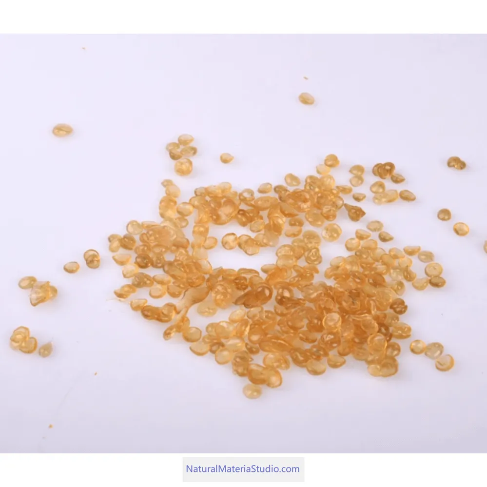 Environmentally friendly fish bladder glue for furniture leather and other organic materials
