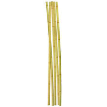 Load image into Gallery viewer, L78.7&quot;/200cm and W4.0-5.0cm wide premium Bamboo Strips/Slices for Bows or DIY boat bamboo house etc
