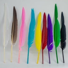 Load image into Gallery viewer, L/R/W 30-35 cm White and other colors goose primary feathers for arrow fletching or feather pen/fan Wholesale Amounts
