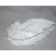 Indlæs billede til gallerivisning L/R/W 30-35 cm White and other colors goose primary feathers for arrow fletching or feather pen/fan Wholesale Amounts
