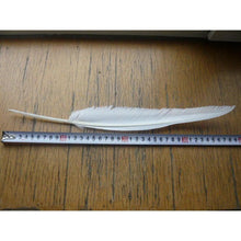 Lade das Bild in den Galerie-Viewer, L/R/W 30-35 cm White and other colors goose primary feathers for arrow fletching or feather pen/fan Wholesale Amounts

