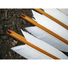 Carica l&#39;immagine nel visualizzatore di Gallery, L/R/W 30-35 cm White and other colors goose primary feathers for arrow fletching or feather pen/fan Wholesale Amounts

