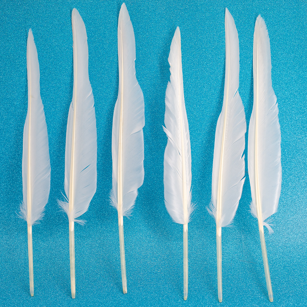 L/R/W 30-35 cm White and other colors goose primary feathers for arrow fletching or feather pen/fan Wholesale Amounts