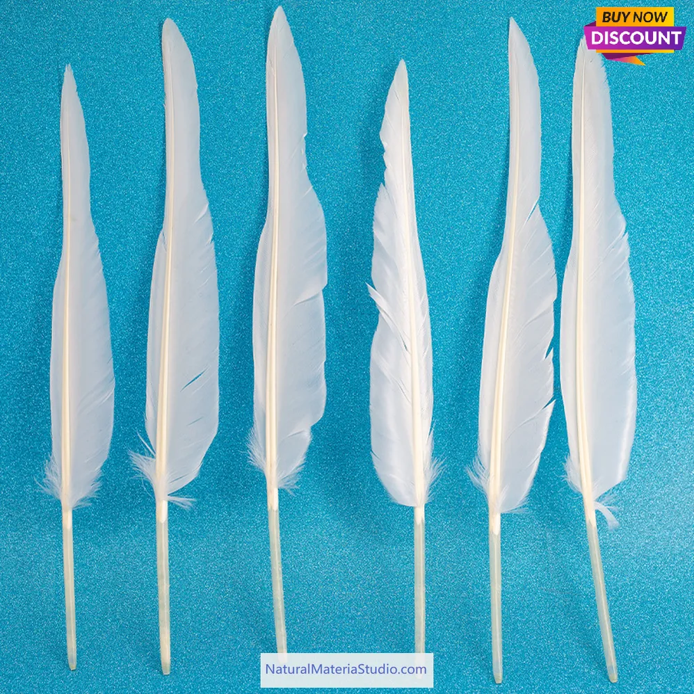 L/R/W 30-35 cm White and other colors goose primary feathers for arrow fletching or feather pen/fan Wholesale Amounts