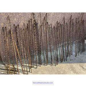 New & Rare Black Bamboo Root Sticks Length 80cm(31.5")Dia.0.9-1.3cm(0.35"-0.5") Unique Supply