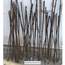 Load image into Gallery viewer, New &amp; Rare Black Bamboo Root Sticks Length 80cm(31.5&quot;)Dia.0.9-1.3cm(0.35&quot;-0.5&quot;) Unique Supply
