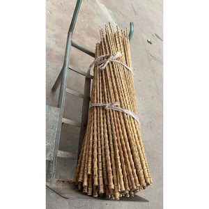 New & Rare Long Bamboo Root Sticks 95-110cm(37.4"-43.3")