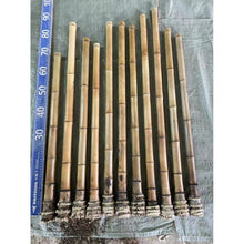 Charger l&#39;image dans la galerie, Premium hand-straightened L29&quot;-39&quot;(75-100 cm)Madake Bamboo with Root Ball for Shakuhachi and Flute Making
