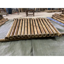 Indlæs billede til gallerivisning Premium hand-straightened L29&quot;-39&quot;(75-100 cm)Madake Bamboo with Root Ball for Shakuhachi and Flute Making
