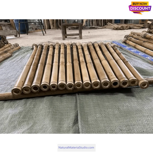 Premium hand-straightened L29"-39"(75-100 cm)Madake Bamboo with Root Ball for Shakuhachi and Flute Making