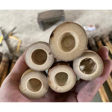 Carica l&#39;immagine nel visualizzatore di Gallery, Premium hand-straightened L29&quot;-39&quot;(75-100 cm)Madake Bamboo with Root Ball for Shakuhachi and Flute Making
