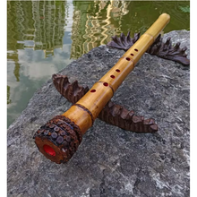 Lade das Bild in den Galerie-Viewer, Premium hand-straightened L29&quot;-39&quot;(75-100 cm)Madake Bamboo with Root Ball for Shakuhachi and Flute Making
