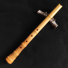 Carica l&#39;immagine nel visualizzatore di Gallery, Premium hand-straightened L29&quot;-39&quot;(75-100 cm)Madake Bamboo with Root Ball for Shakuhachi and Flute Making
