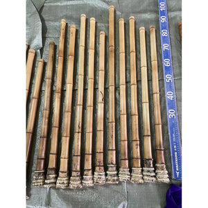 Premium hand-straightened L29"-39"(75-100 cm)Madake Bamboo with Root Ball for Shakuhachi and Flute Making