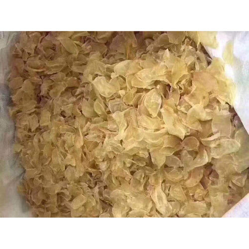 Rare Dried Croaker Bladders for Fish Glue for bow making /leatherwork/antique furniture/musical instrument repair&handicraft making