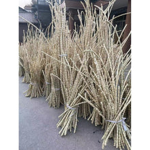 Lade das Bild in den Galerie-Viewer, Rare &amp; Precious Length Bamboo Root Sticks (120cm / 47.2&quot;) for Varied Handicrafts
