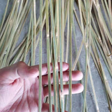 Indlæs billede til gallerivisning Rare and Comprehensive Size length:195cm/77&quot; Skinned Bamboo Strips/Flats for Bamboo Weaving&amp;handicraft making
