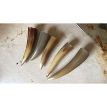 Load image into Gallery viewer, Raw Unpolished Tibet Yak L5.0-22cm Dia.1.8-3.5cm White&amp;Colorful Solid Horn Tips for Crafting
