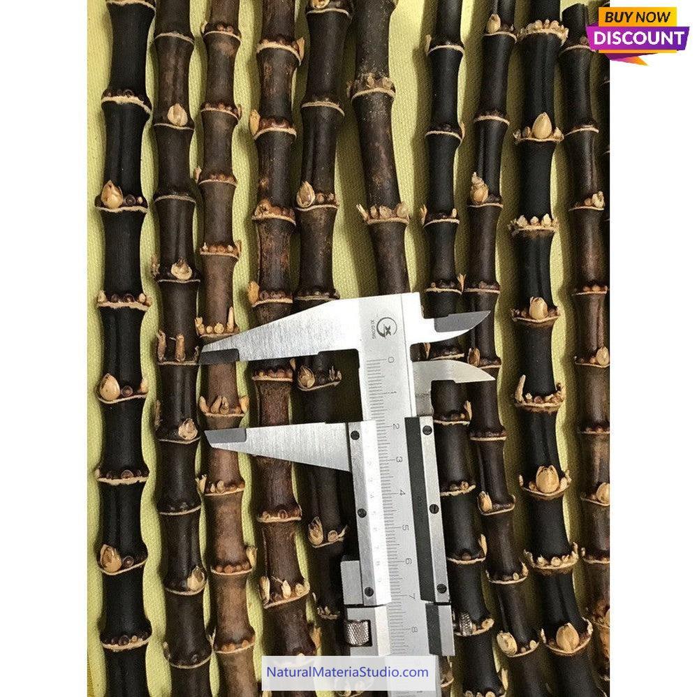 Selected Black/Brown Bamboo Roots L8-50cm Dia.0.8-1.5cm for Pipe Makers